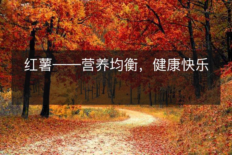 红薯——营养均衡，健康快乐