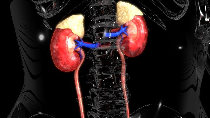 补肾一天吃几颗板栗好